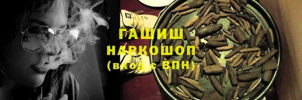 крисы Кулебаки