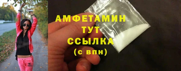 прущие грибы Балабаново