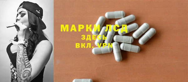 прущие грибы Балабаново