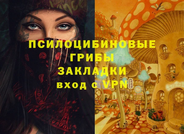 прущие грибы Балабаново