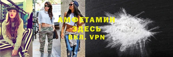 прущие грибы Балабаново