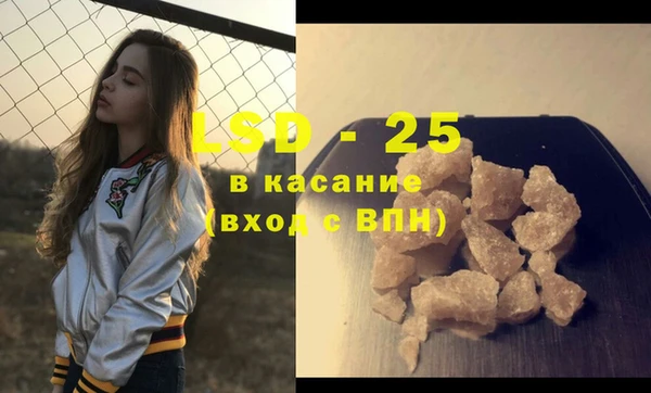 прущие грибы Балабаново