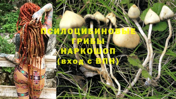 прущие крисы Балахна