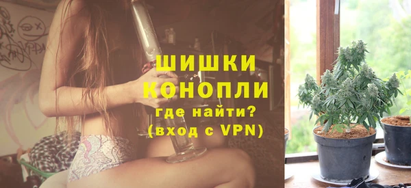 прущие грибы Балабаново