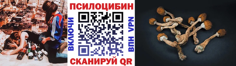 Псилоцибиновые грибы Psilocybe  Каспийск 